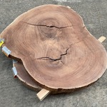 Guyana Teak houten schijf 1100mm